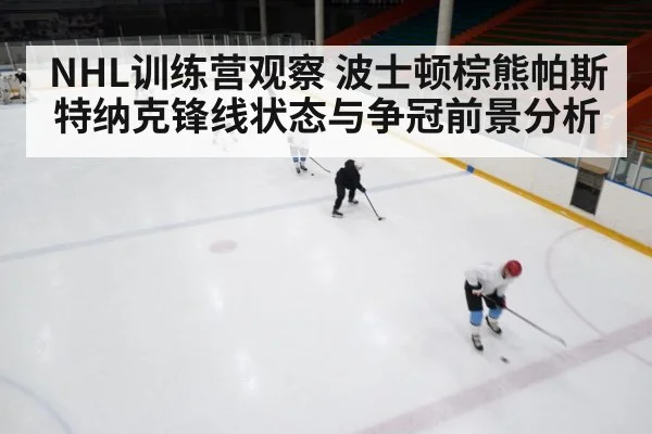 ice hockey training camp